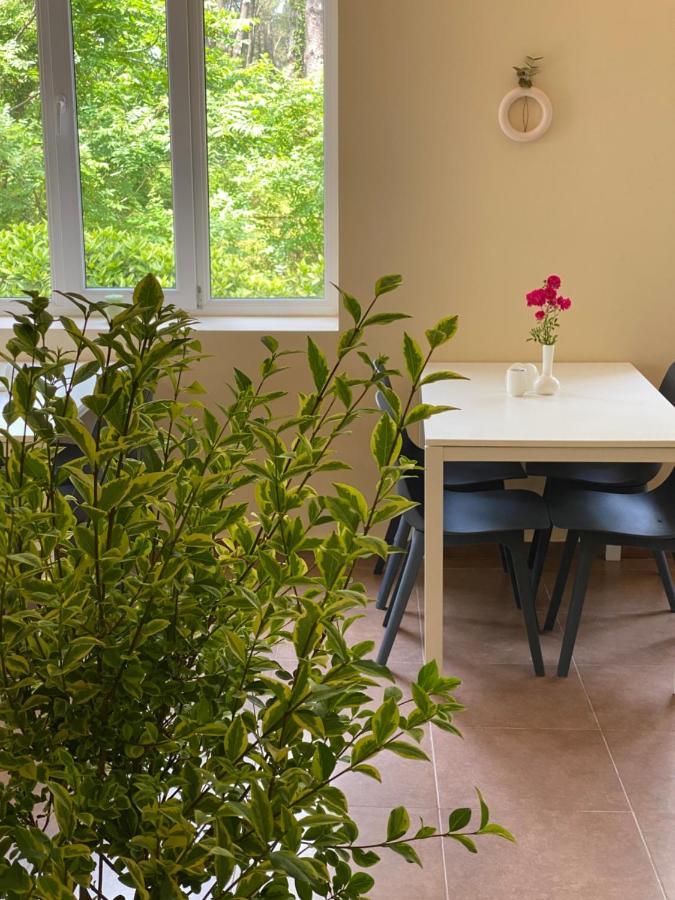 Buxus Hotel Shekvetili Ngoại thất bức ảnh
