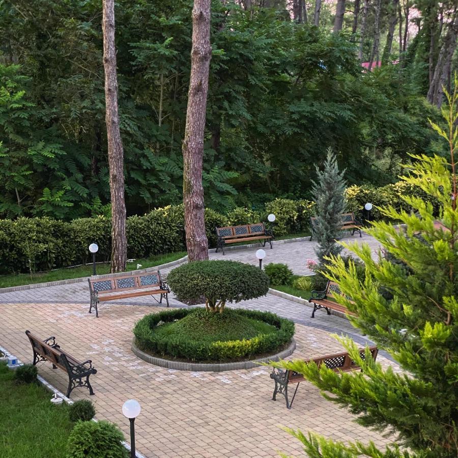 Buxus Hotel Shekvetili Ngoại thất bức ảnh