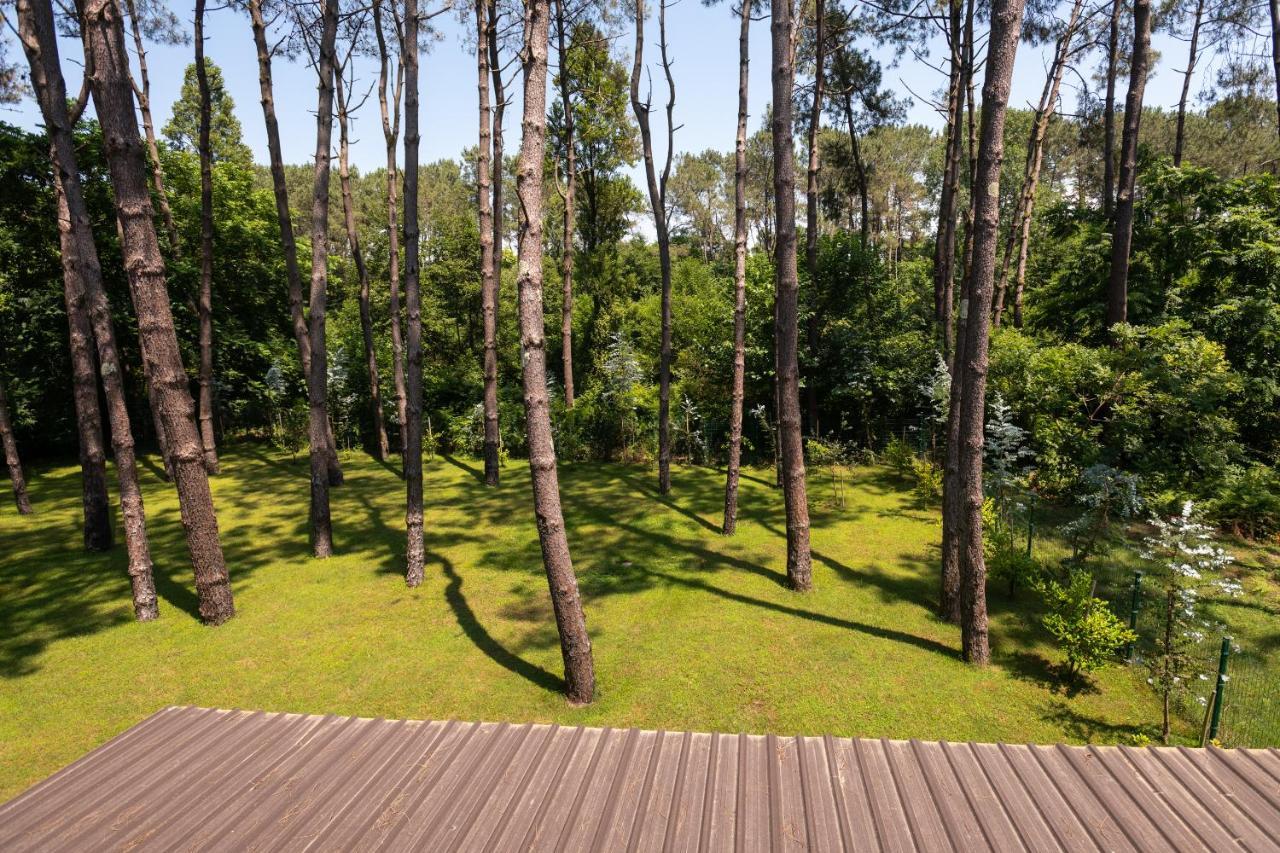 Buxus Hotel Shekvetili Ngoại thất bức ảnh
