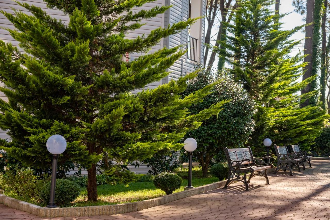 Buxus Hotel Shekvetili Ngoại thất bức ảnh