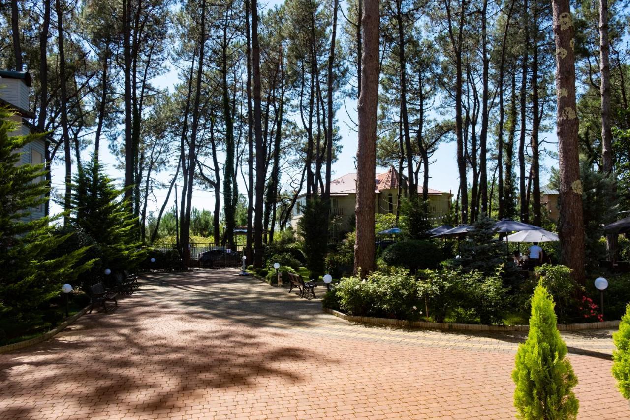 Buxus Hotel Shekvetili Ngoại thất bức ảnh