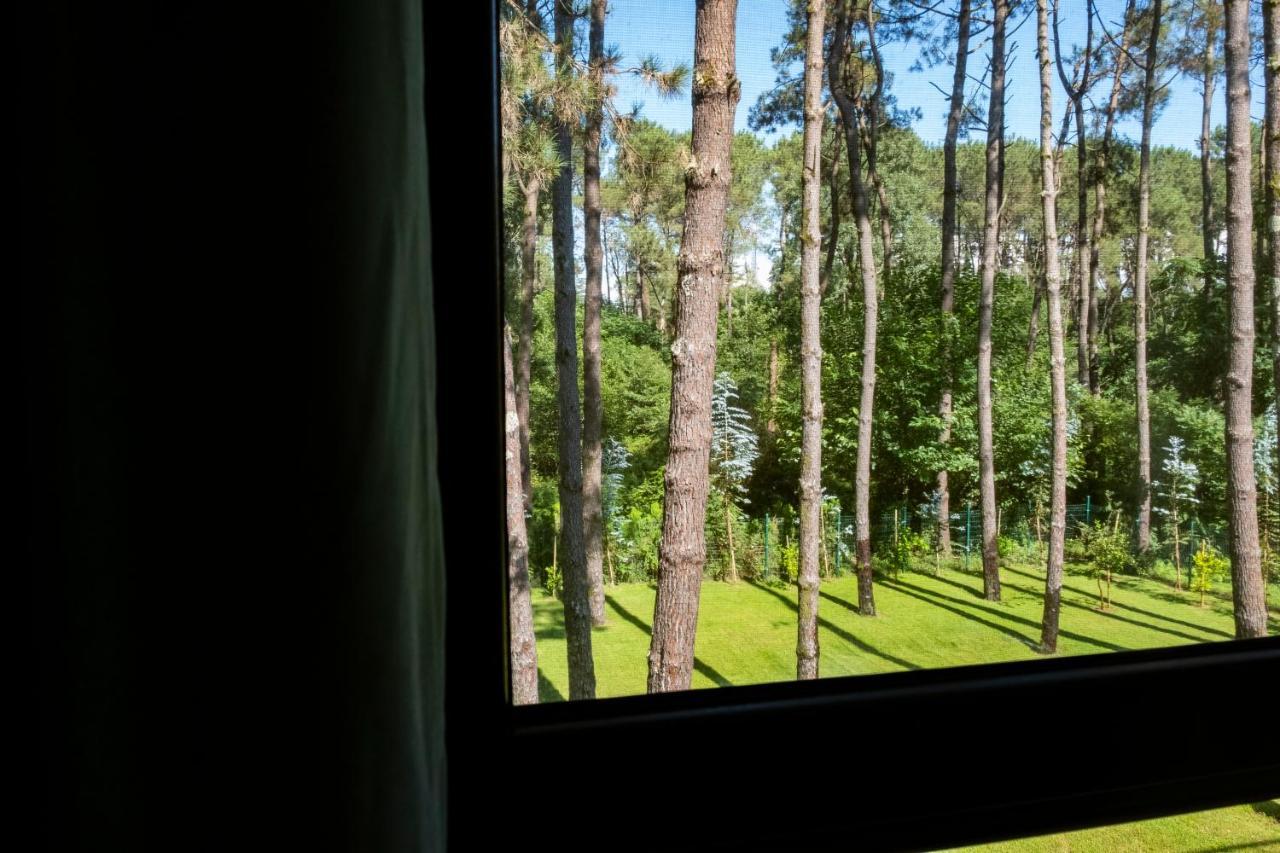 Buxus Hotel Shekvetili Ngoại thất bức ảnh