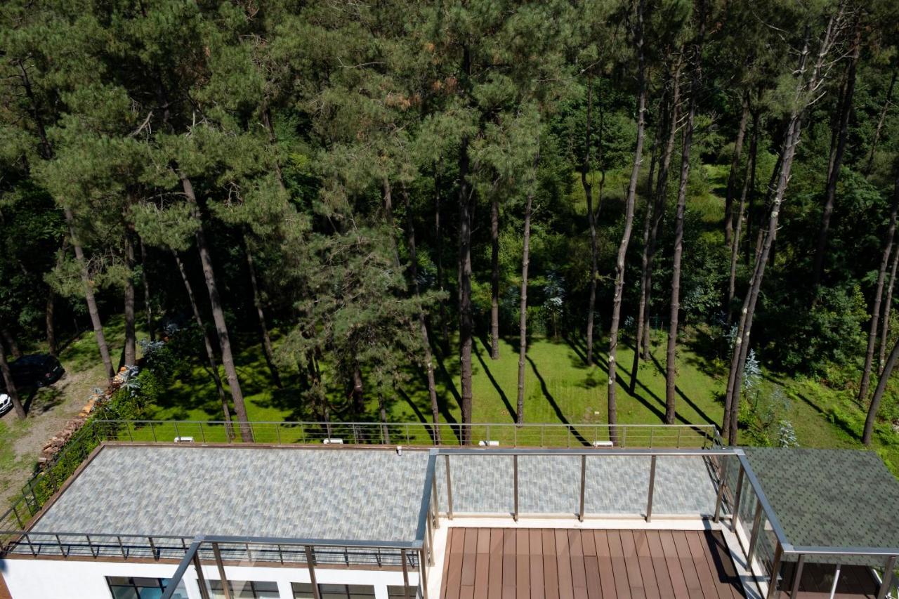 Buxus Hotel Shekvetili Ngoại thất bức ảnh