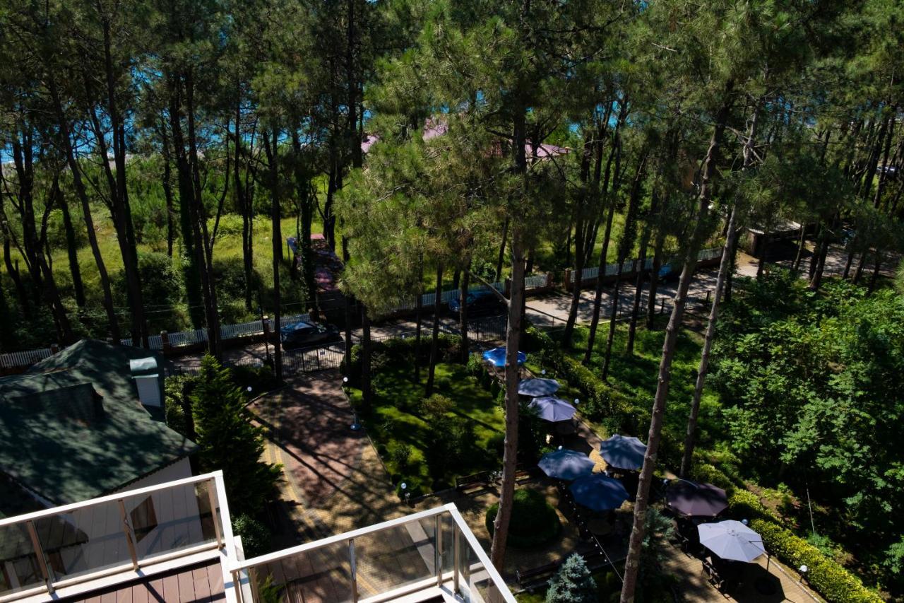 Buxus Hotel Shekvetili Ngoại thất bức ảnh