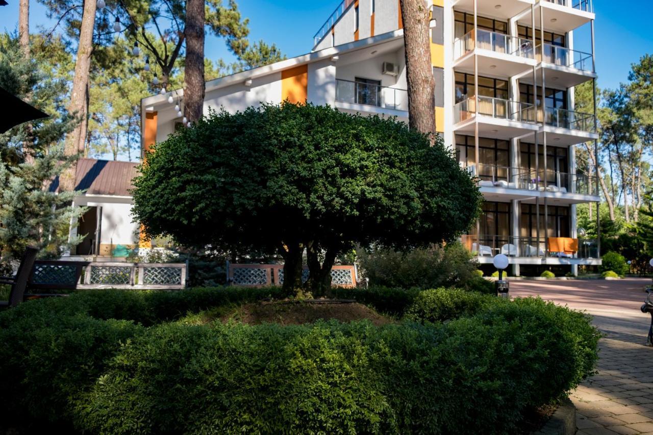 Buxus Hotel Shekvetili Ngoại thất bức ảnh
