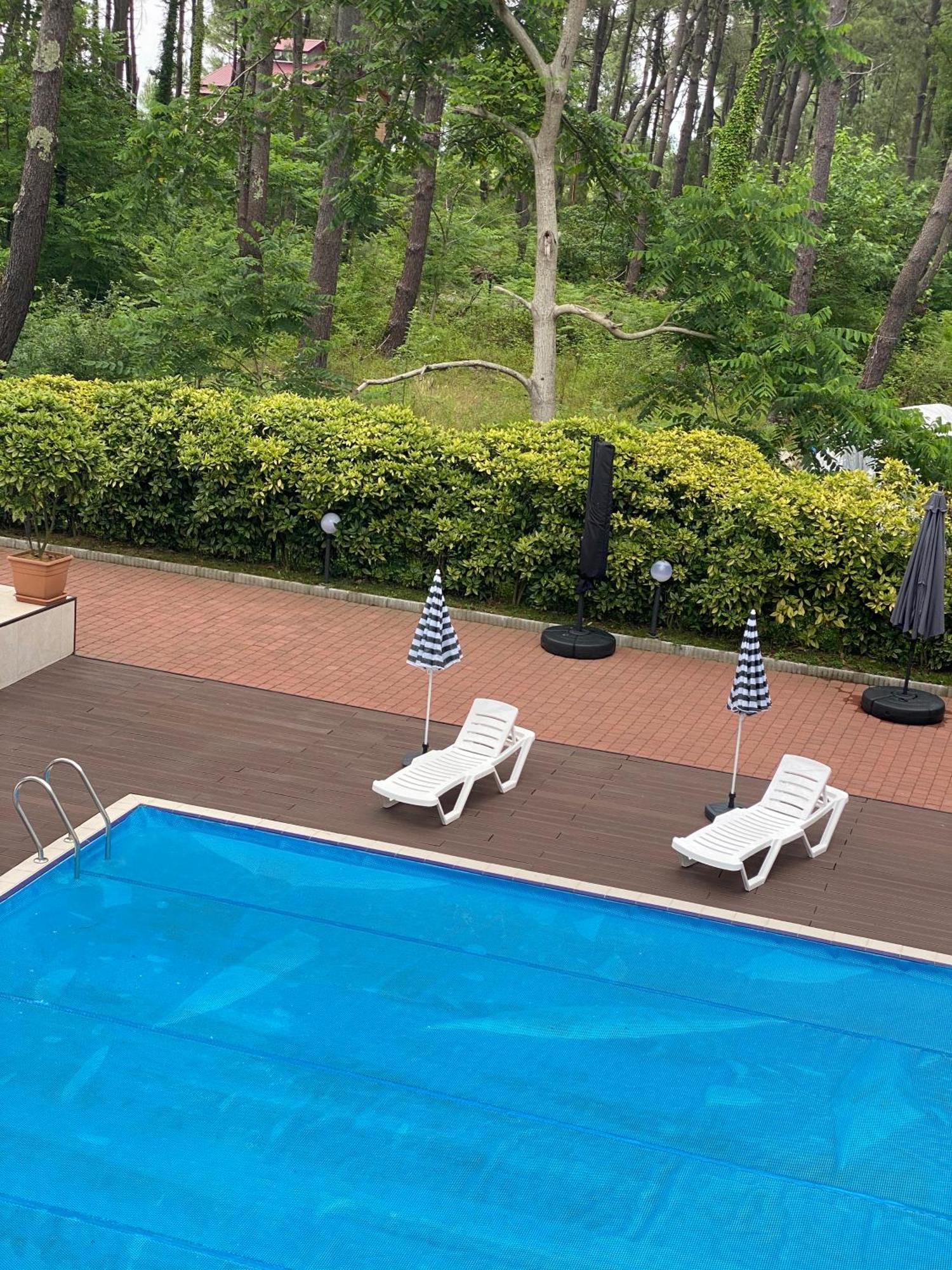 Buxus Hotel Shekvetili Ngoại thất bức ảnh